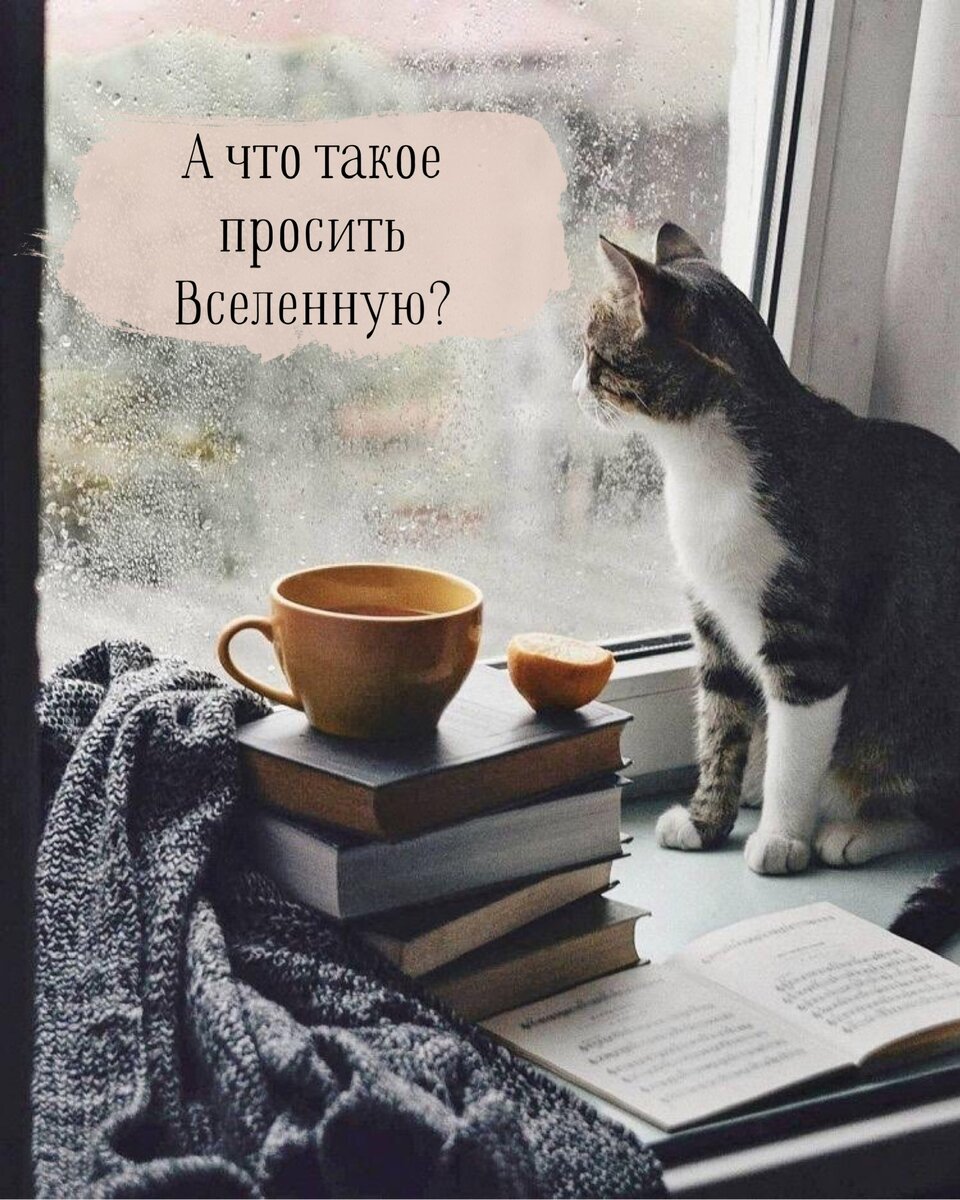 А что такое просить Вселенную? 🌀🌏 💭💭💭👁 | ЖЕНСТВЕННОСТЬ и СЕКСУАЛЬНОСТЬ ...