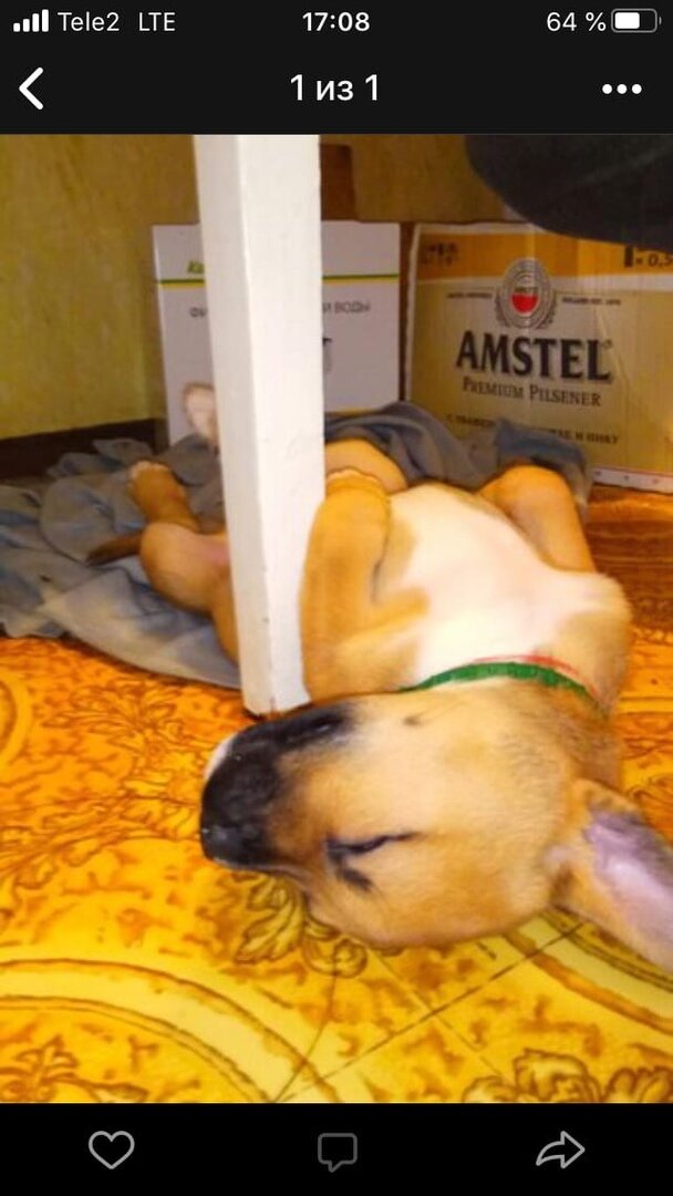 В ожидании Мамы!