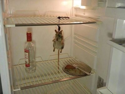И в итоге есть нечего.