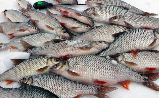 Секретный ингредиент для зимней рыбалки, когда рыба отказывается клевать - с ним без улова не останетесь
