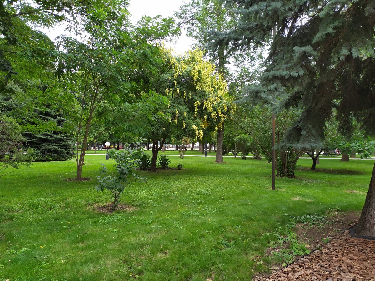 Фото из личного архива.