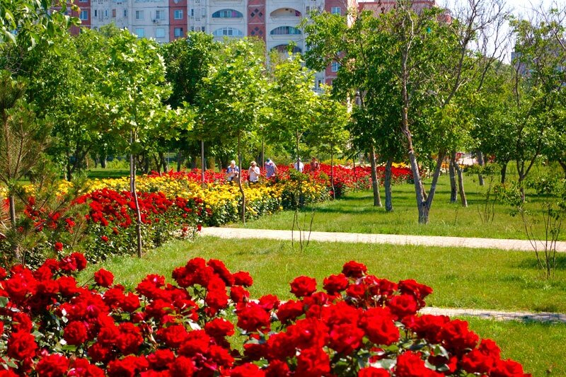 Ореховая роща анапа фото 2024