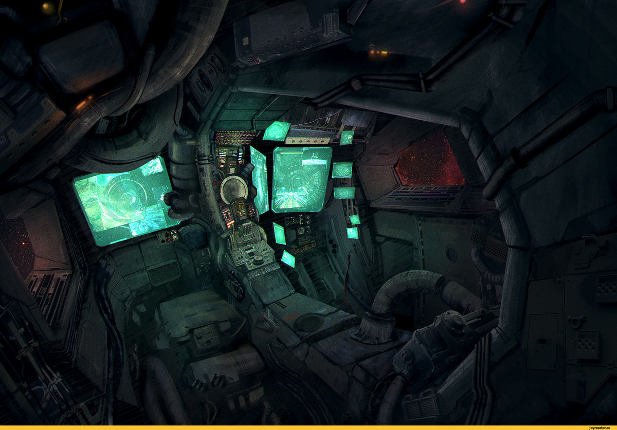 Фото взято из открытого источника