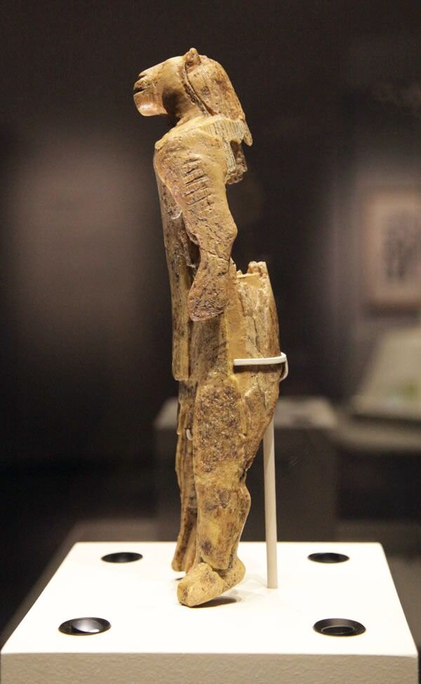 «Человеклев» как часть экспозиции в городском музее в Ульме, Германия