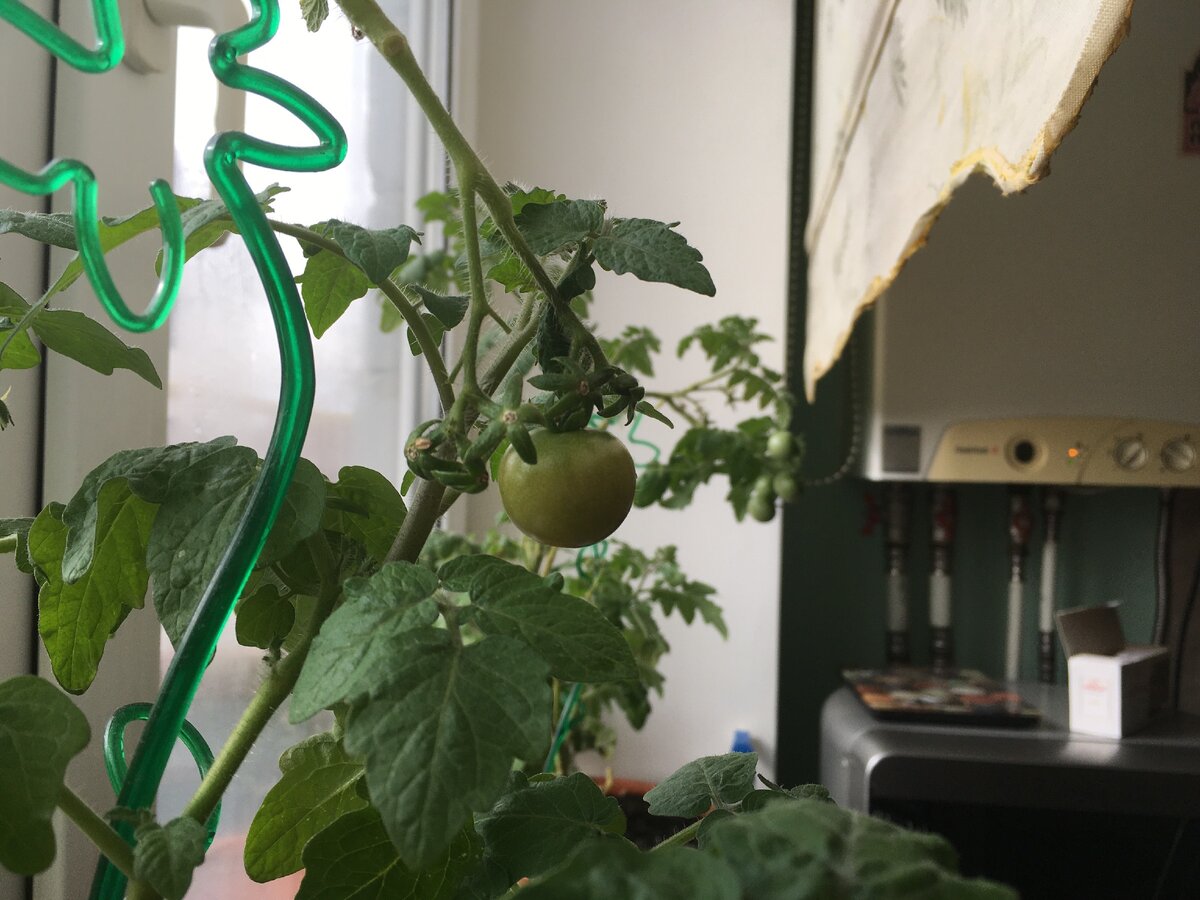 Фото от 20 марта