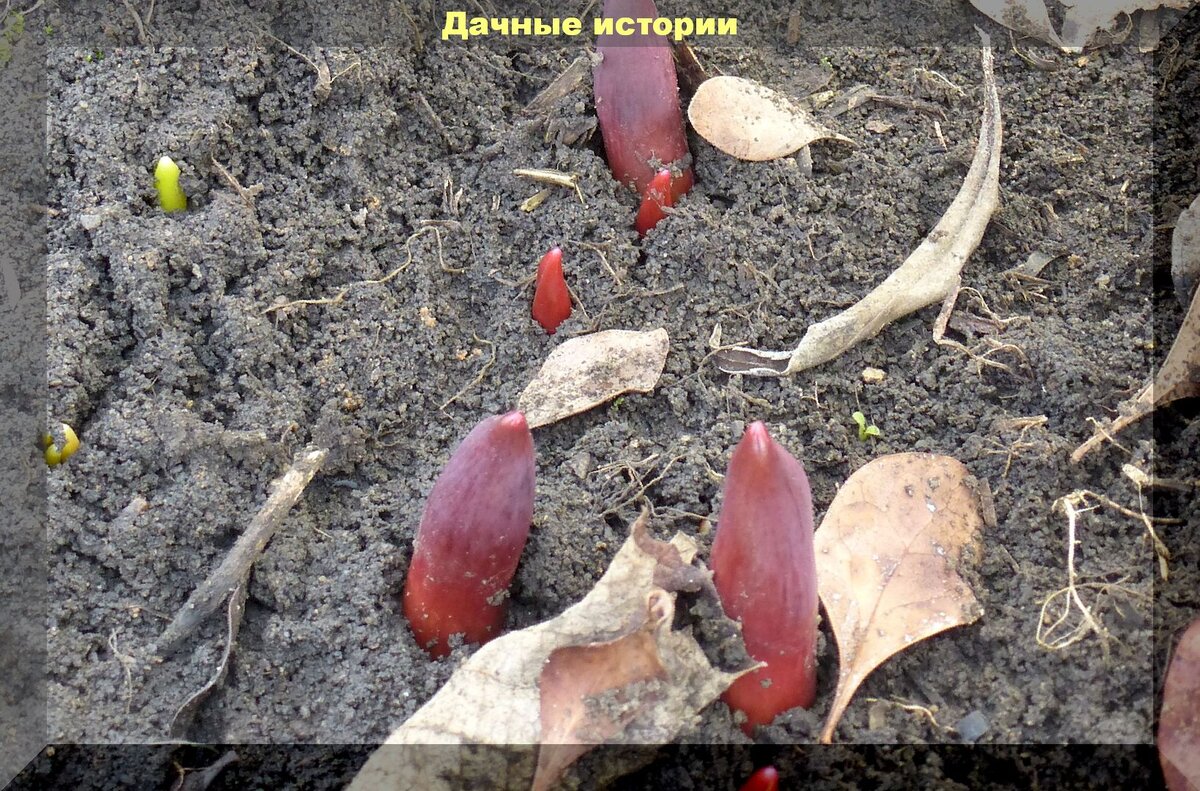 https://vk.com/photo-159774511_457243521