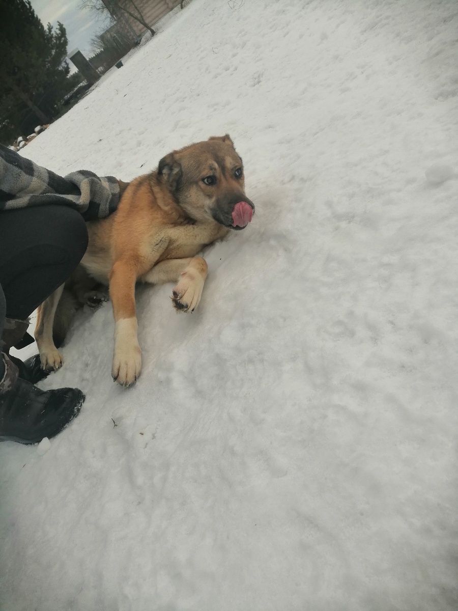 Альма ( я слабо вижу, но чувствую все) 