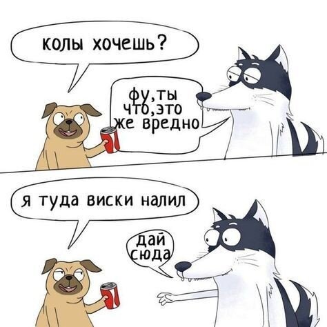 Обычная вечеринка у собак 