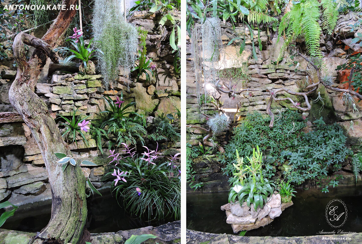 Декоративное применение сухих коряг в Ботаническом саду.