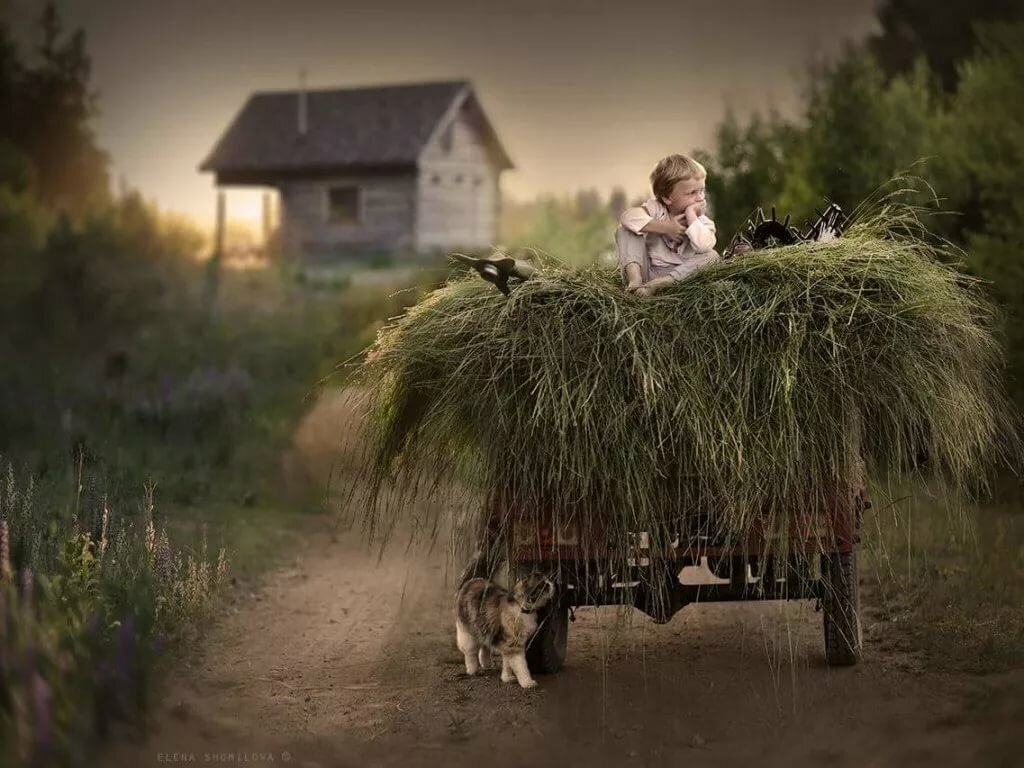 Источник: Яндекс. картинки.