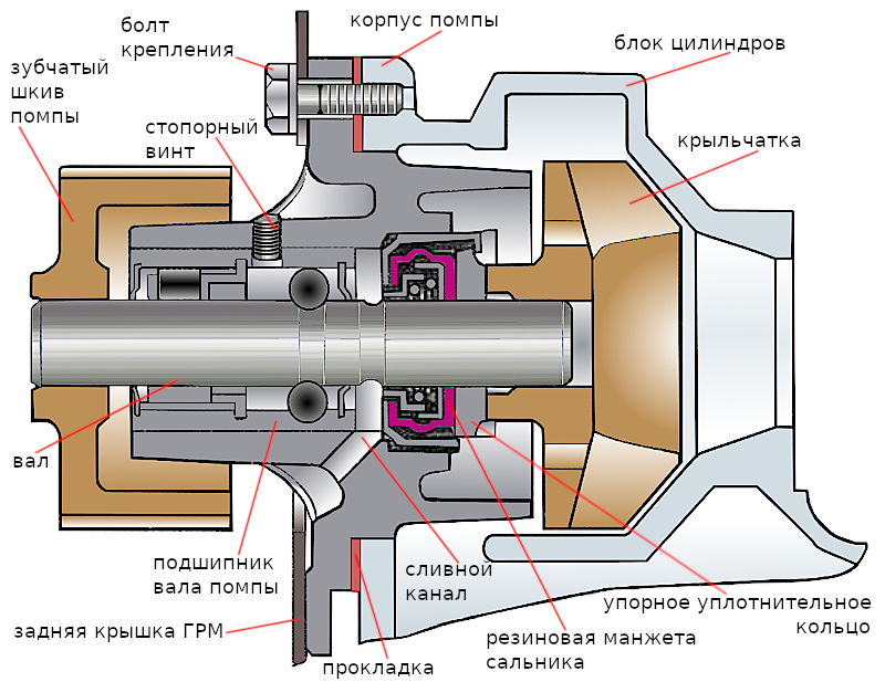 Как разобрать помпу-насос на ваз и отремонтировать