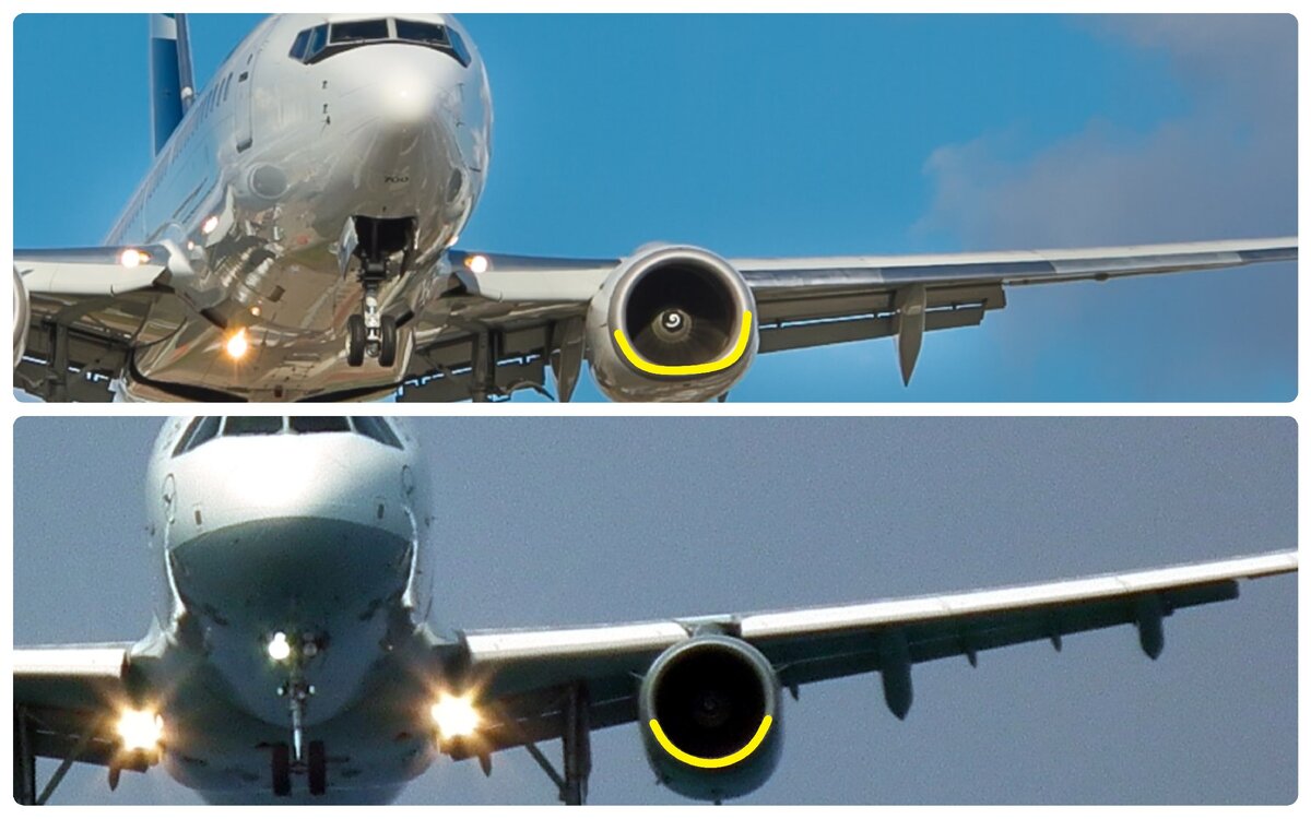 Как отличить самолеты. Отличие Боинг 737 от Аэробус а320. Аэробус и самолет разница. Отличие Боинга от Эйрбаса. Боинг от аэробуса.
