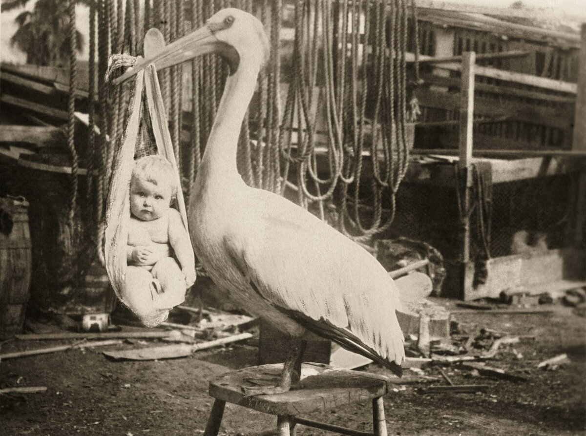 Источник Яндекс.картинки