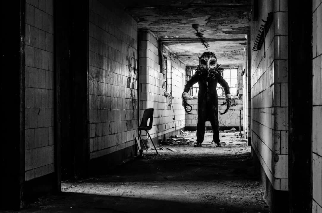 Источник Яндекс.