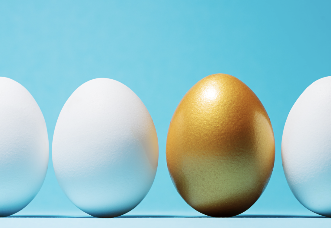 Фотобанк Canva