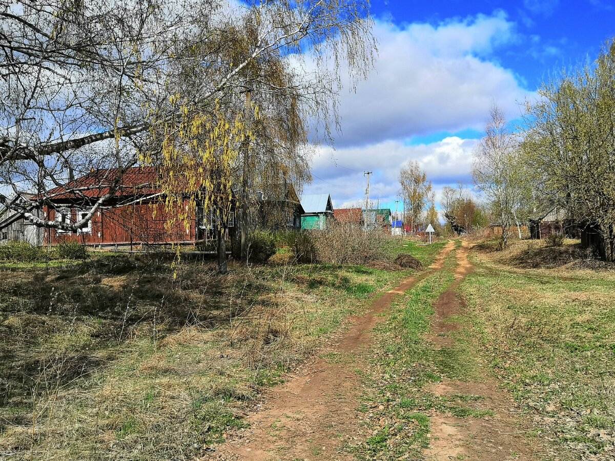 Деревня Павловка, Перевозский район. Территория моего детства.