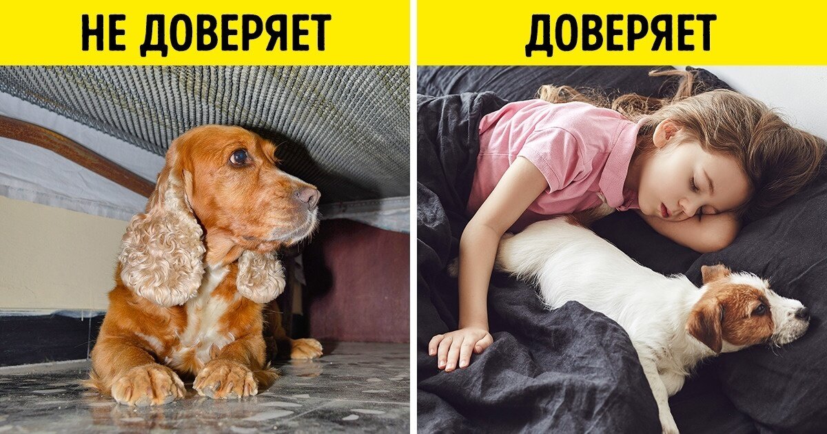 Источник Яндекс картинки