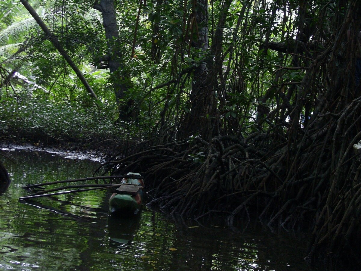 из собственного фотоархива