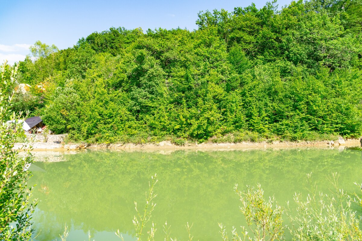 2. Отражение освещённых Солнцем лиственных деревьев в верхнем озере.