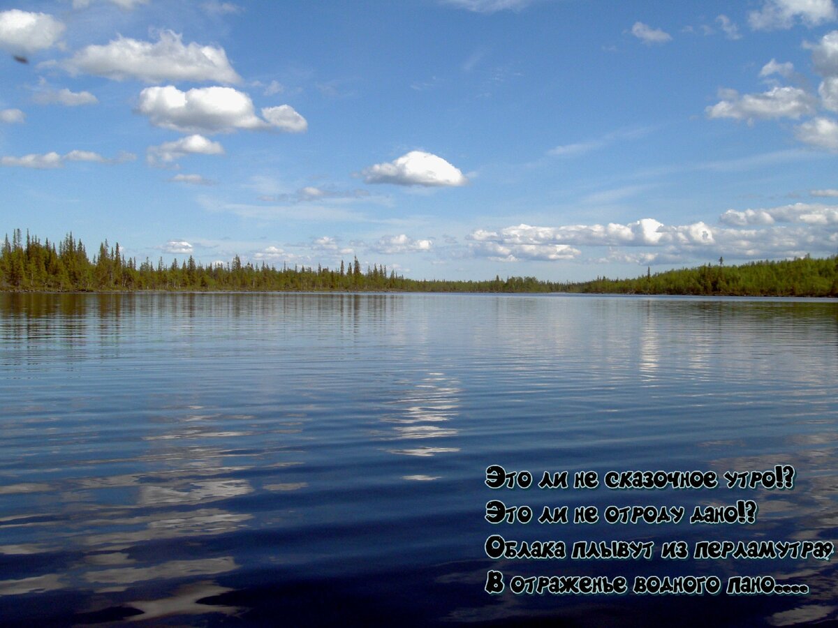 Сказочное утро