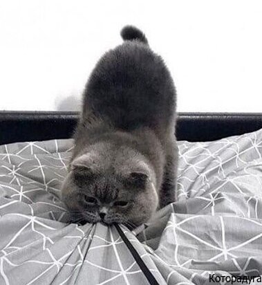 Источник: vk.com