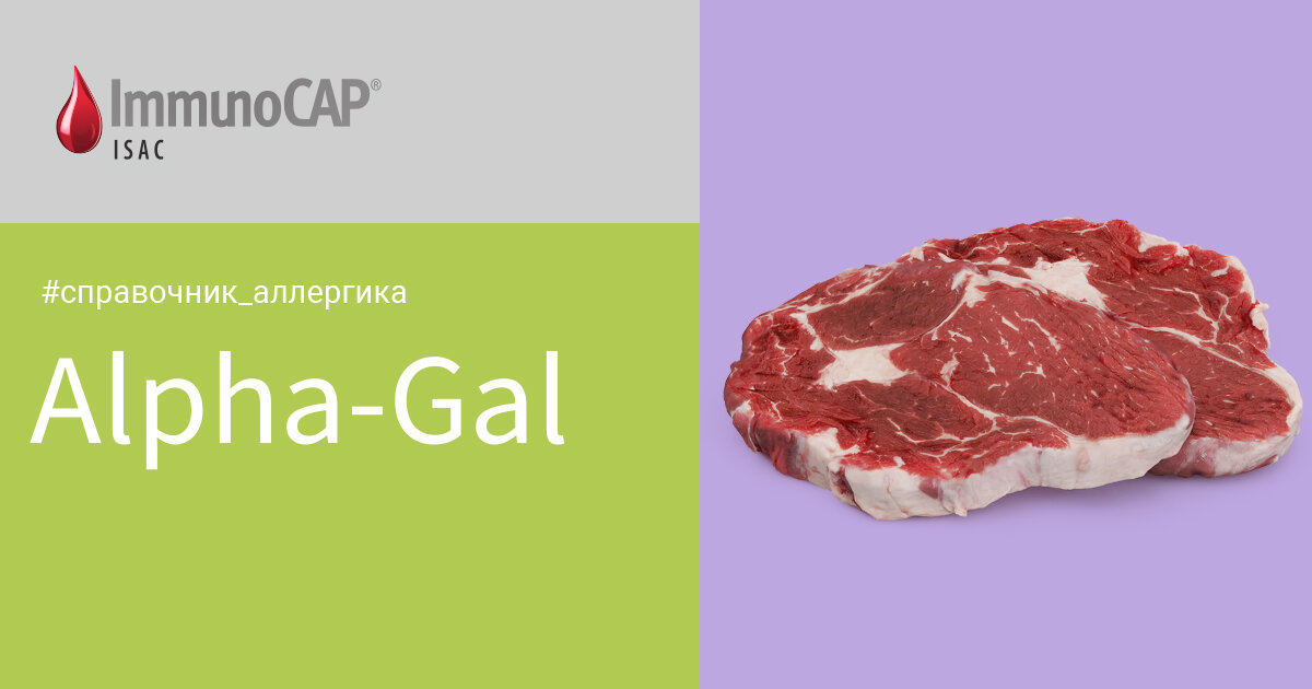 Alpha-Gal способен вызывать у сенсибилизированных пациентов крайне тяжёлые и даже фатальные реакции. 