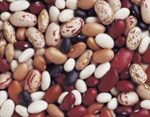 Бобовый продукт содержит много клетчатки, полезные кислоты (аскорбиновую и пр.), макро, микроэлементы, каротин и витамины группы В. По содержанию белка фасоль близка к мясу или рыбе. Именно поэтому бобовые обязательно включают в рацион женщины вегетарианки и те, кто соблюдает пост.