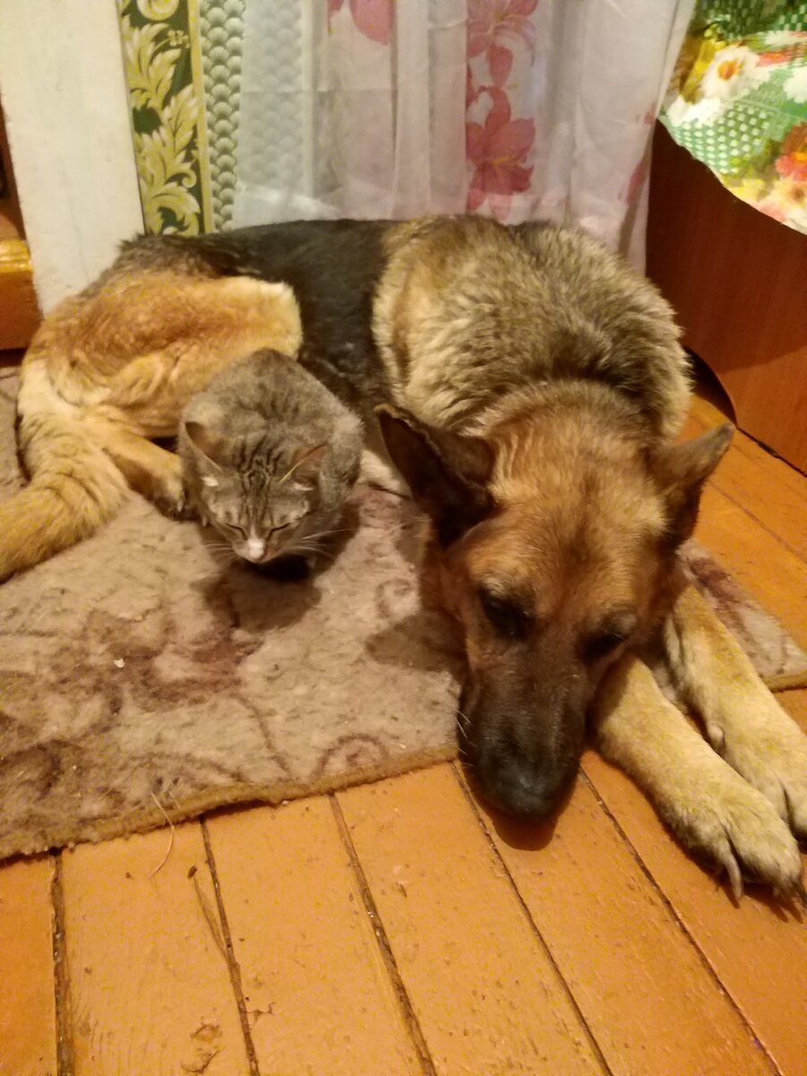 Давай поспим еще немножко, подождем лето...