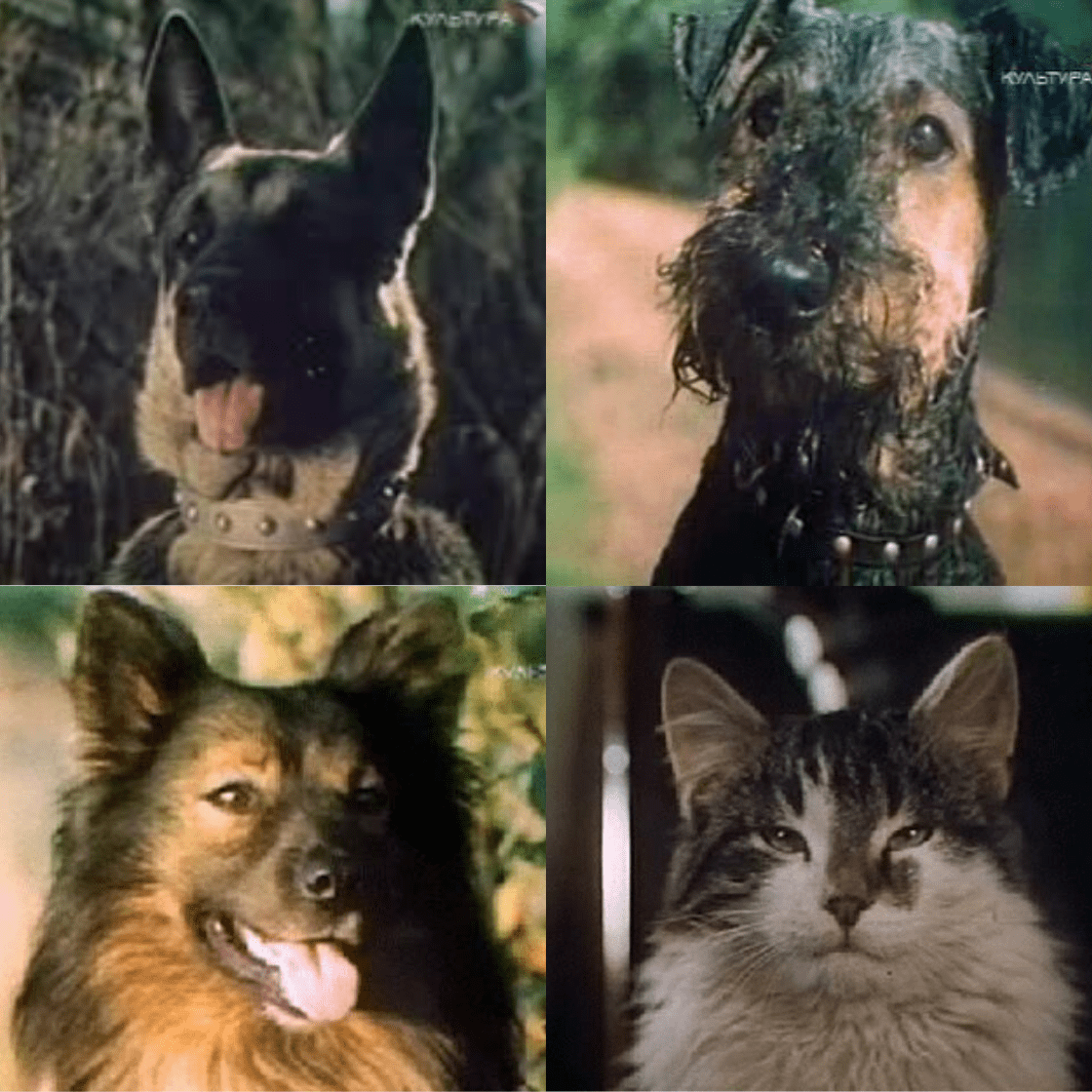 кадры из Фильма "Жизнь и приключения четырех друзей"