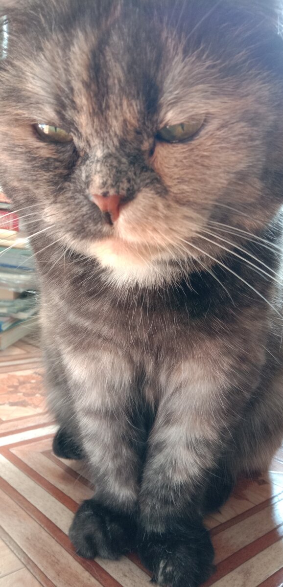 Фото автора