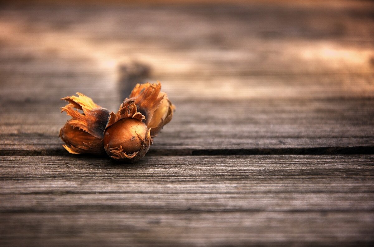 фото с pixabay.com