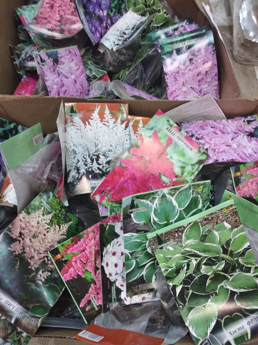 фото из магазина