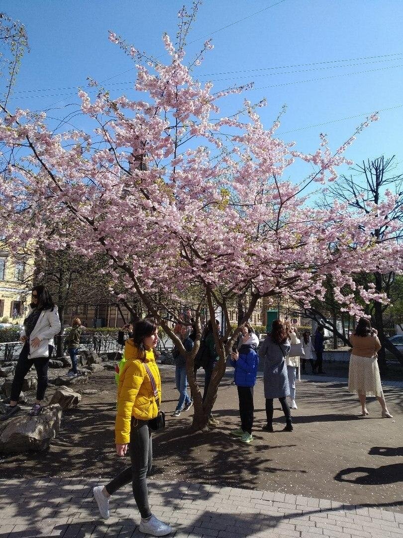 фото: FlashPiter