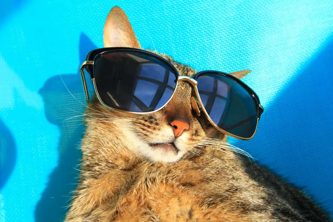 Фото из свободных источников сети Интернет