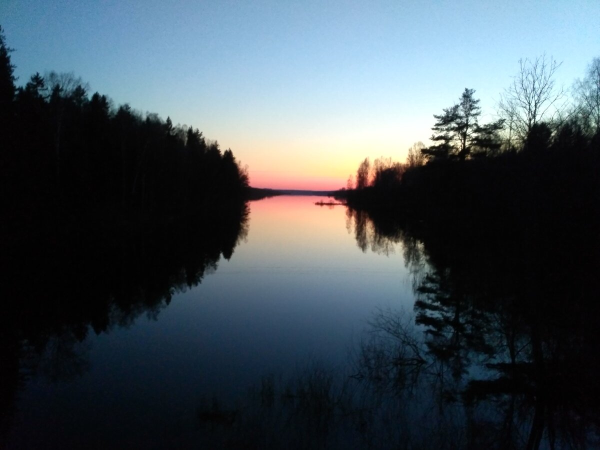 Вот так выглядит  река Оредеж в районе пляжа Белые  Пески.