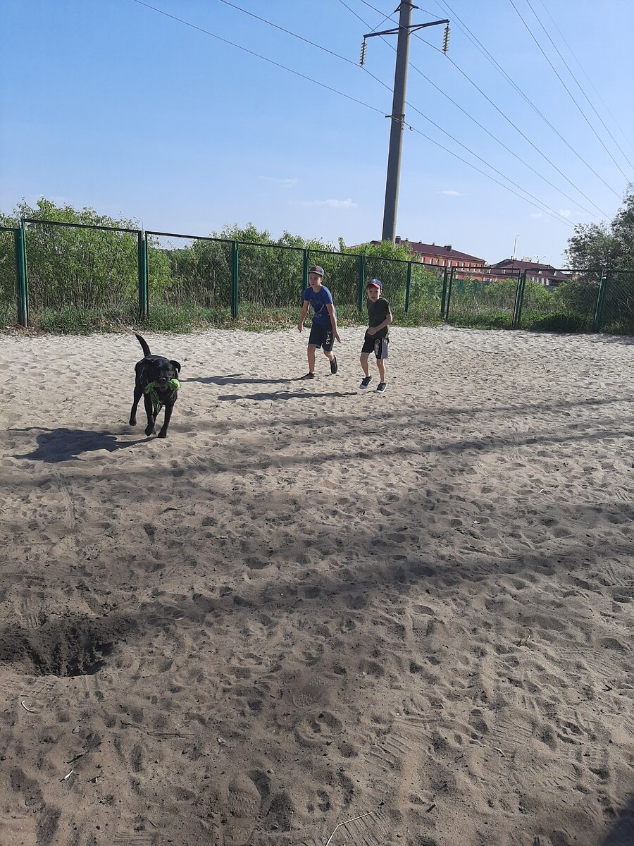 забрала свою игрушку))))