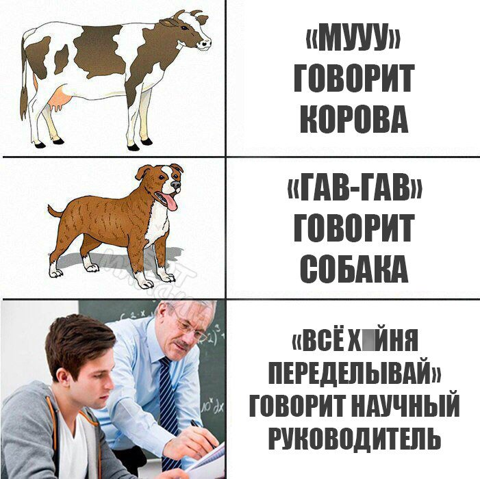 Скажи как собаки. Научный руководитель Мем. Мемы про научного руководителя. Как говорит собака. Говорящие собаки мемы