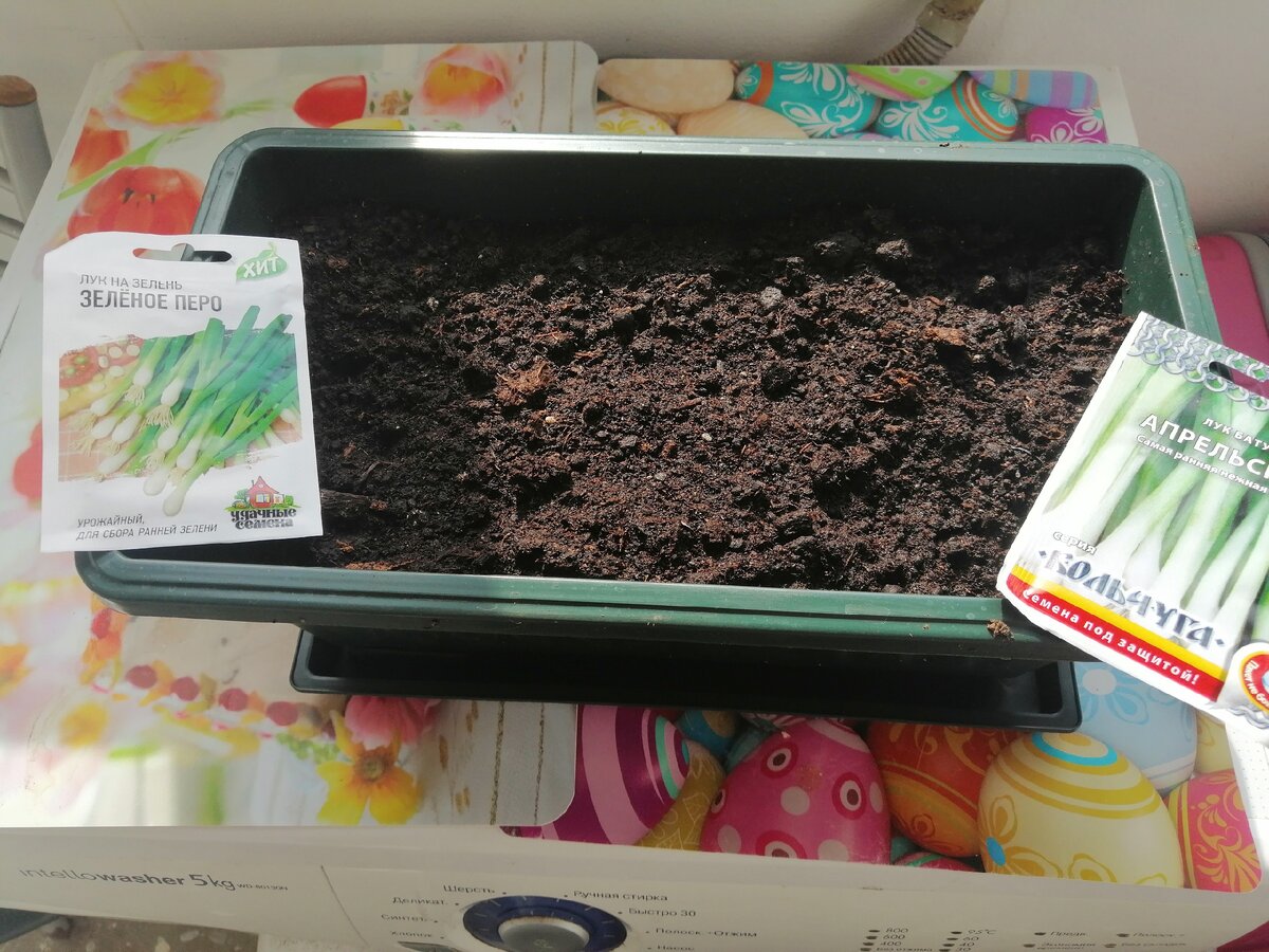 Личное фото.