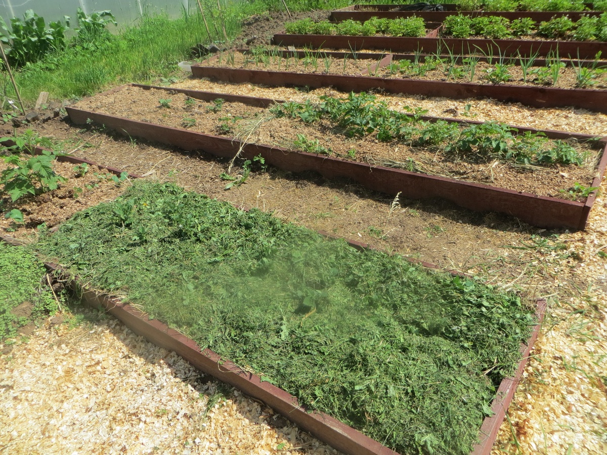 Вторая закладка травы.