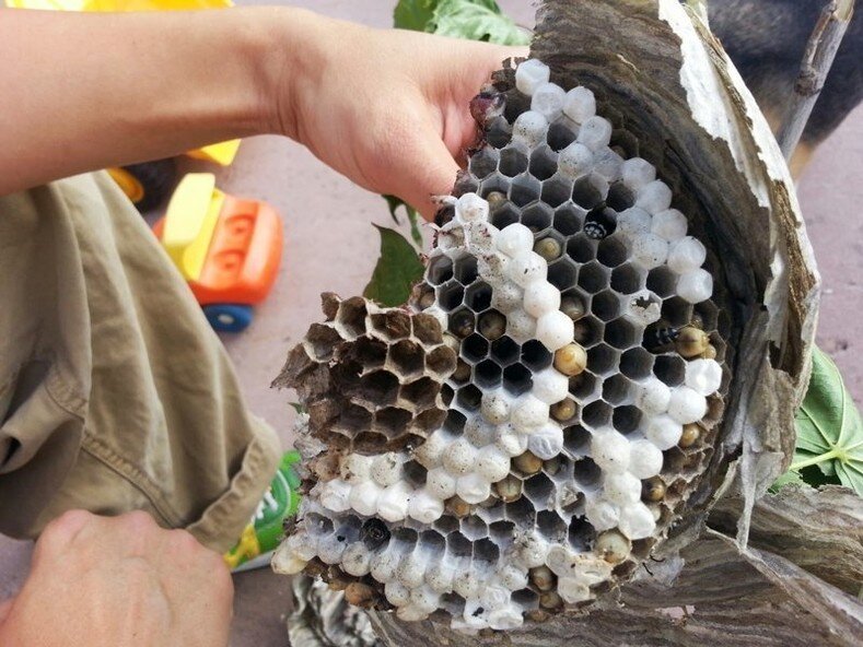 источник https://www.tourister.ru/users/nikita_milyagin/blog/12482