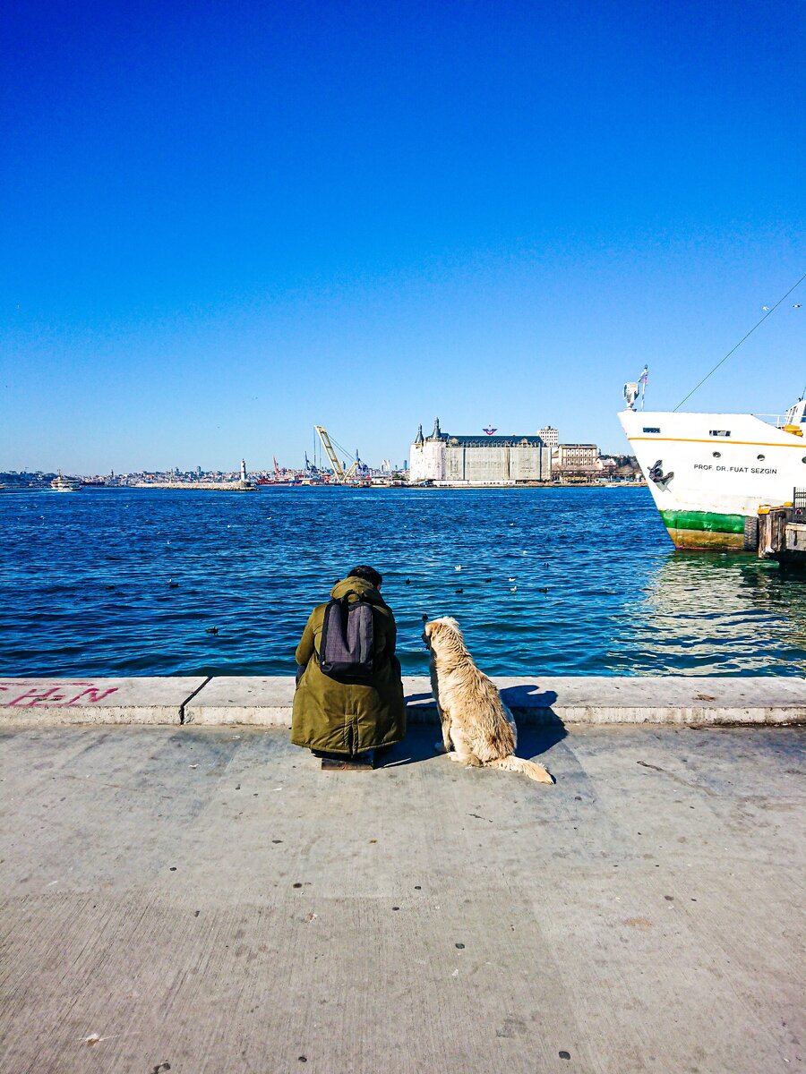 Любитель фотограф и учусь на кинорежиссера в Турции город Стамбул. Я надеюсь многие оценят мои фотографии.