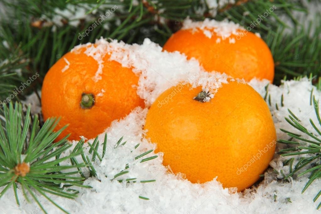 Фото из Интернета