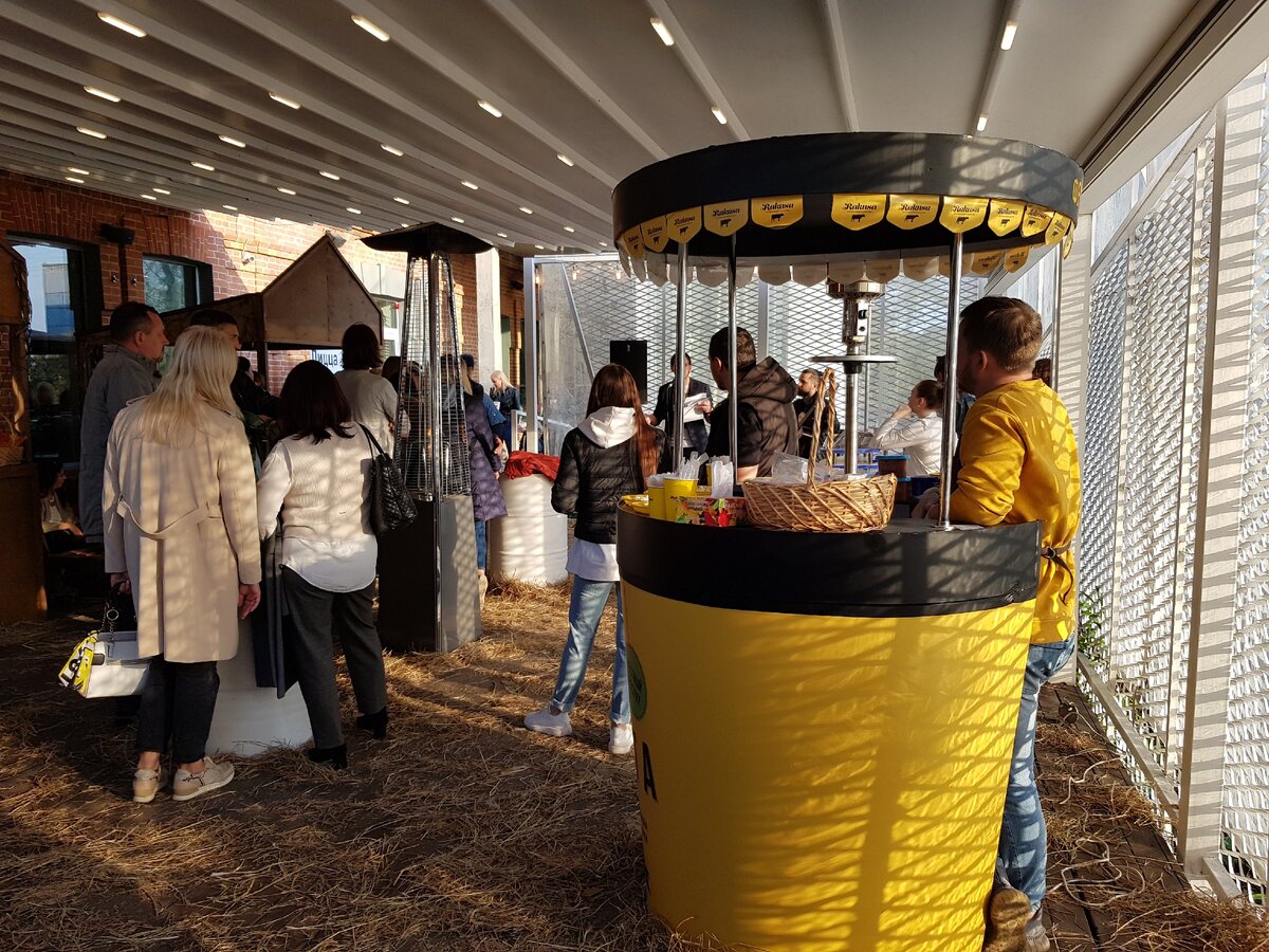 Дегустация сыров