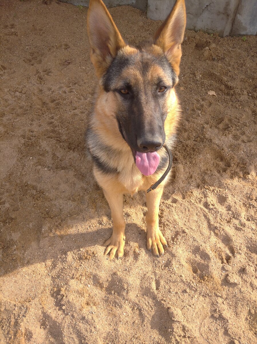 Вот это моя Ронда