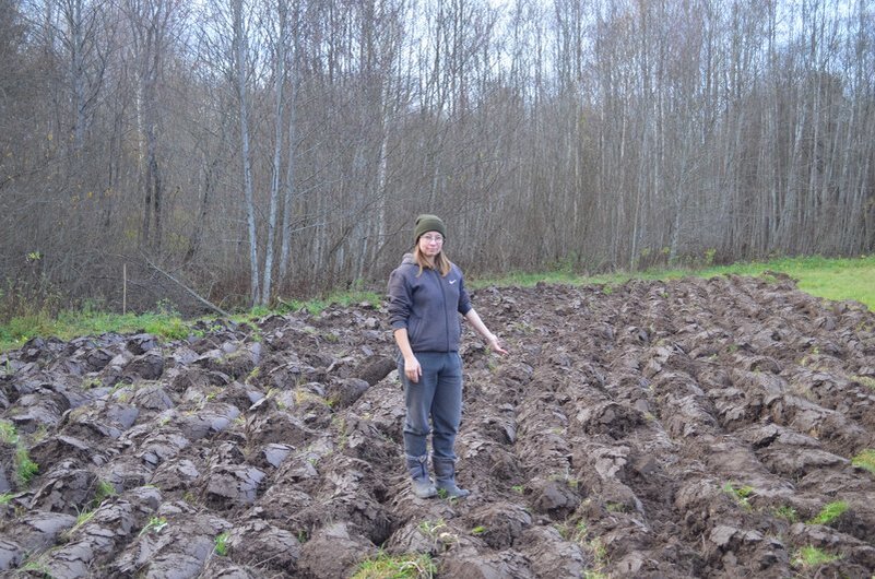 Осенью подняли целину.