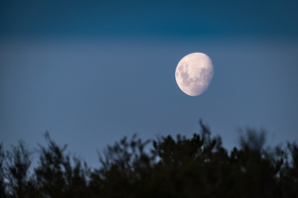 Фото: https://pixabay.com/