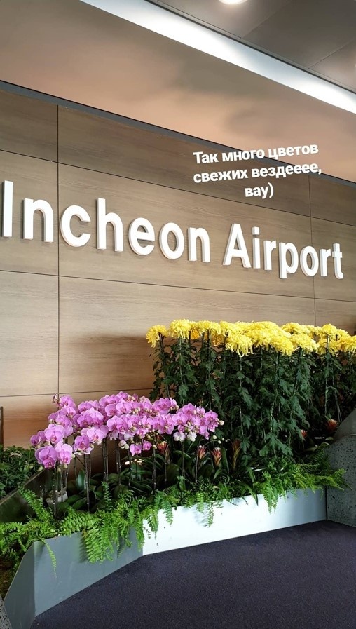 В аэропорте было очень много зелени и цветов