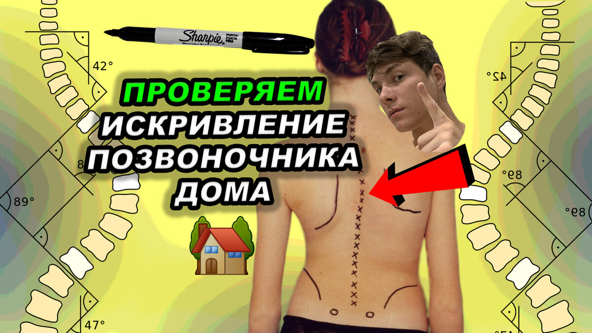 Автор - Пенкин Егор/Fit.Therapy.Official
