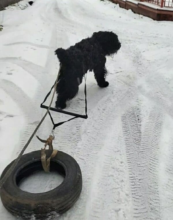 Рабочий момент, без красоты.))