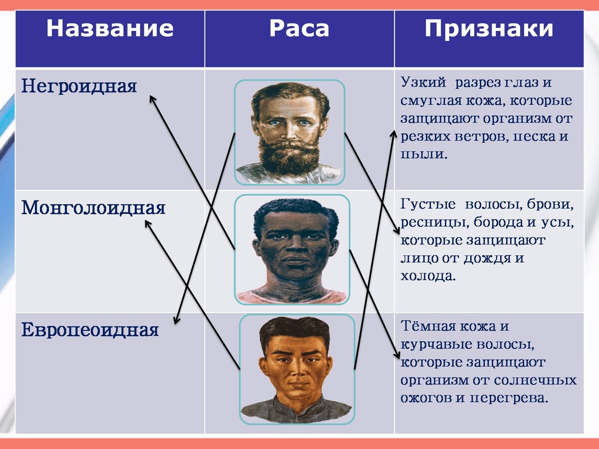 Расы европеоидная монголоидная экваториальная